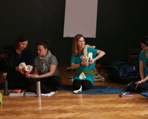 Yoga Anatomie - Lernen in Bewegung