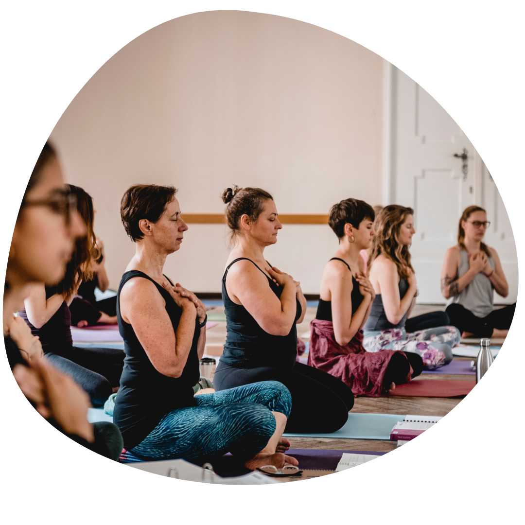 6 Yoginis meditieren nebeneinander in einer Yogastunde.